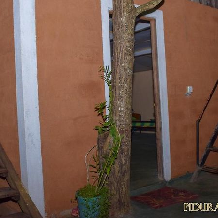 Pidurangala Hostel Sigiriya Eksteriør billede