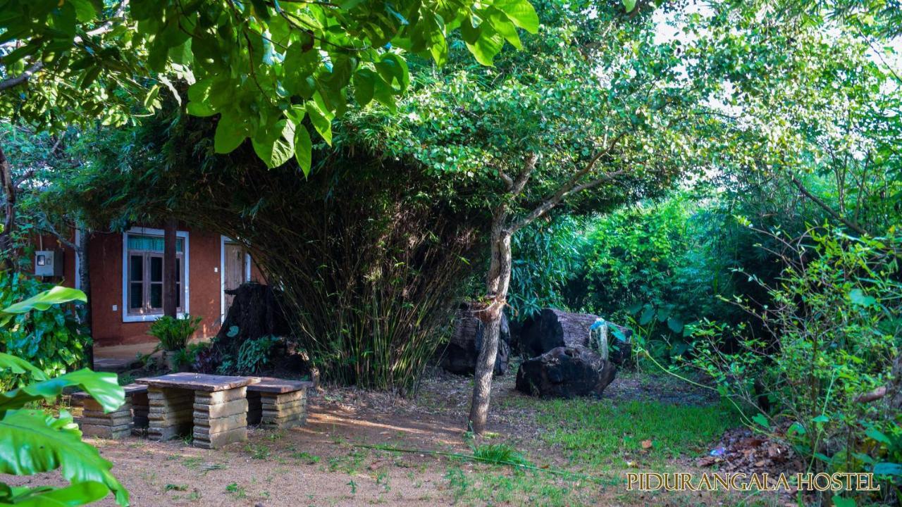 Pidurangala Hostel Sigiriya Eksteriør billede