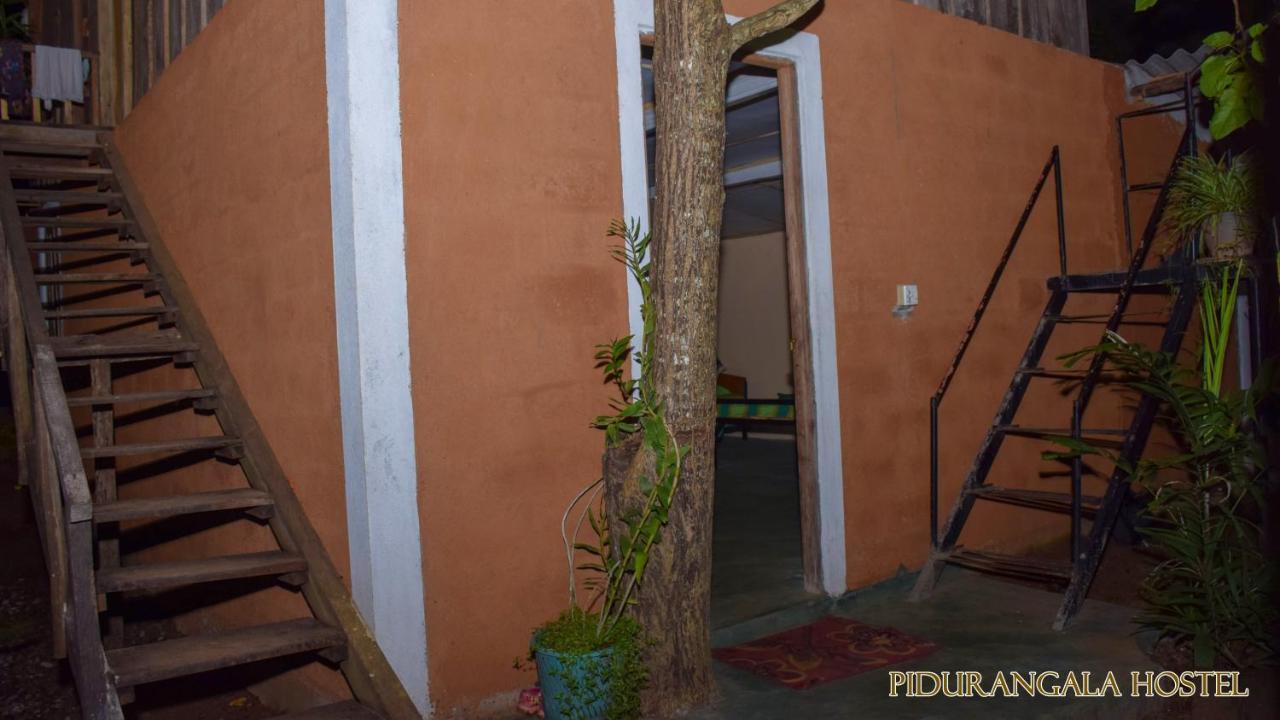 Pidurangala Hostel Sigiriya Eksteriør billede