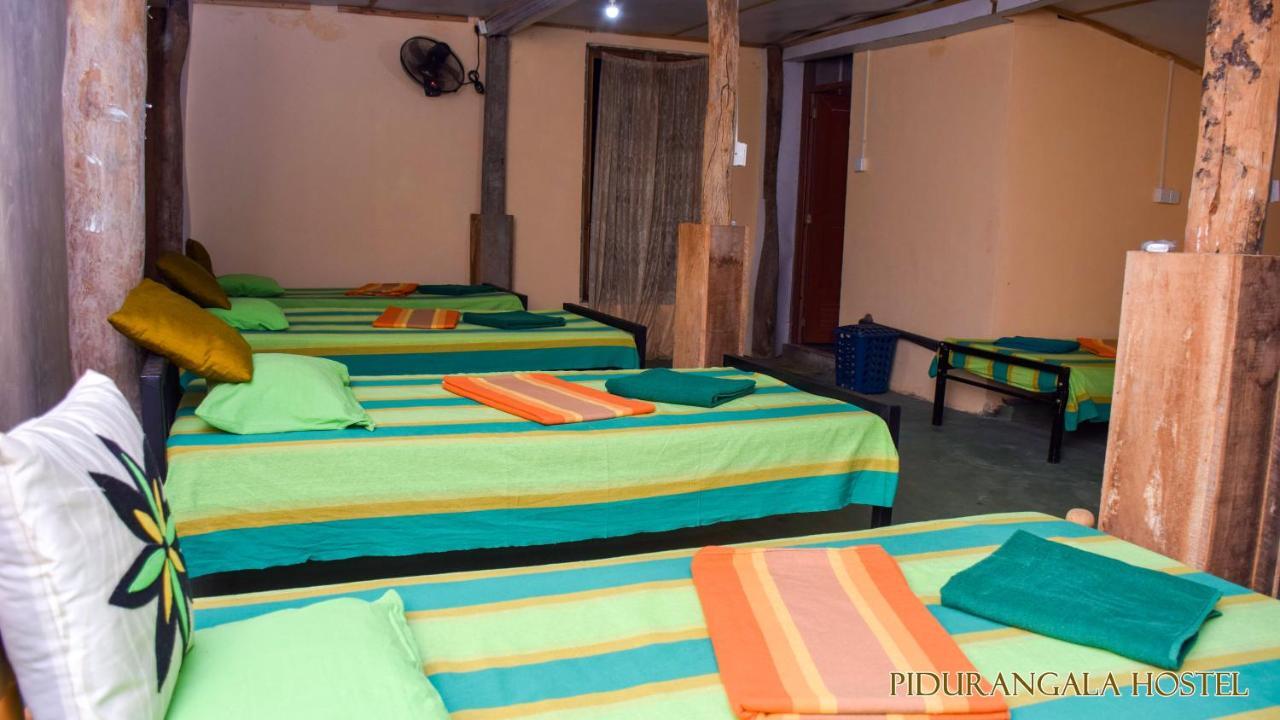 Pidurangala Hostel Sigiriya Eksteriør billede